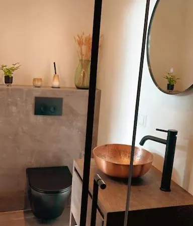 Tiny House Of Picasso Holiday home Warmenhuizen