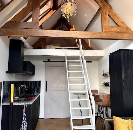 Feriehus Tiny House Of Picasso Warmenhuizen