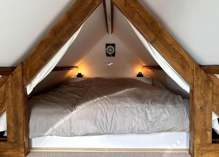 Tiny House Of Picasso Warmenhuizen